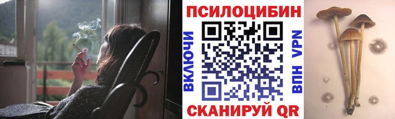 MEGA маркетплейс  Рыбное  Галлюциногенные грибы Psilocybe 