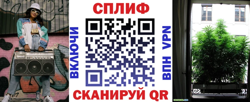 Канабис MAZAR  KRAKEN   Рыбное 